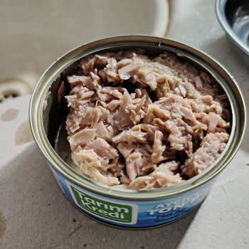 Tarım Kredi Market Ton Balığında Sürekli Eksik Gramaj Sorunu Ve İade Talebi