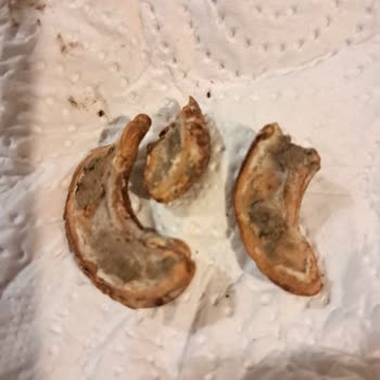 Aldığım Kajunun İçinde Küf Çıktı Firma Dönüş Yapmadı