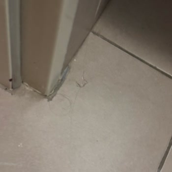 Pine Bay Holiday Resort Kirli Oda Ve İlgisiz Personel Nedeniyle Hayal Kırıklığı!