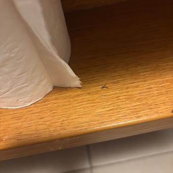 Pine Bay Holiday Resort Kirli Oda Ve İlgisiz Personel Nedeniyle Hayal Kırıklığı!