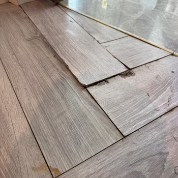 Wanda Vista İstanbul'da İlgisizlik, Gürültü Ve Hijyen Sorunları