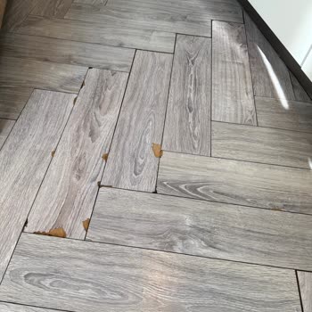 Wanda Vista İstanbul'da İlgisizlik, Gürültü Ve Hijyen Sorunları