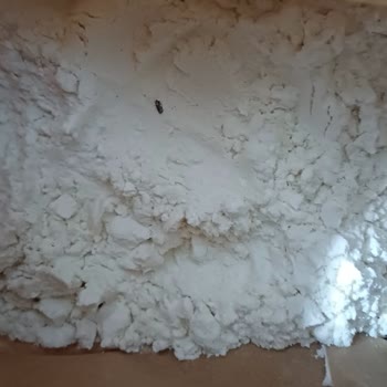 Aldığım Unun İçinden Böcek Çıktı, Güvenim Sarsıldı