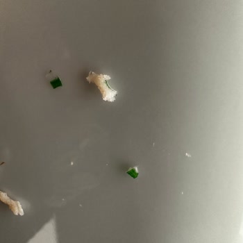 Namet Hindi Fümede Jelatin Parçası Sorunu Yaşadım