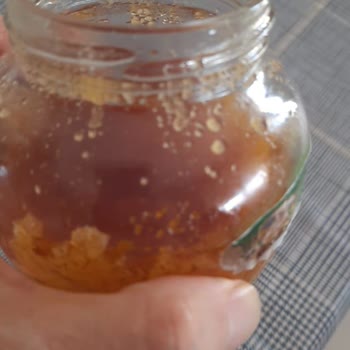 Aldığım Bal Hızla Kristalleşti, Çözüm Sunulmadı