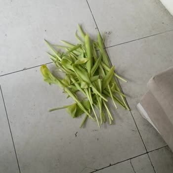 Emirgan Botanik'ten Şikayetçiyim