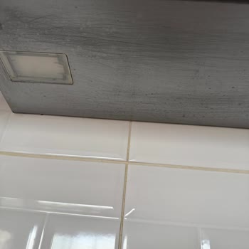 Özgül Temizlik (Kocaeli) Mağduriyeti