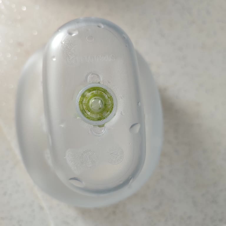 Sürahinin Filtre Kısmında Temizlenmeyen Yosun Oluşumu Sağlığımı Tehdit Ediyor