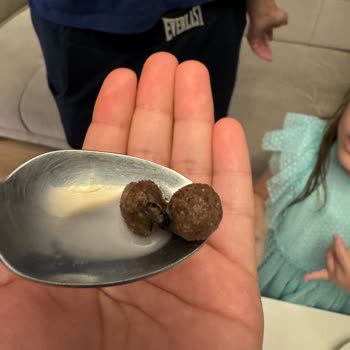 Çikolata Gevreğinde Sinek Ölüsü: Çocukların Sağlığı Tehlikeye Girdi