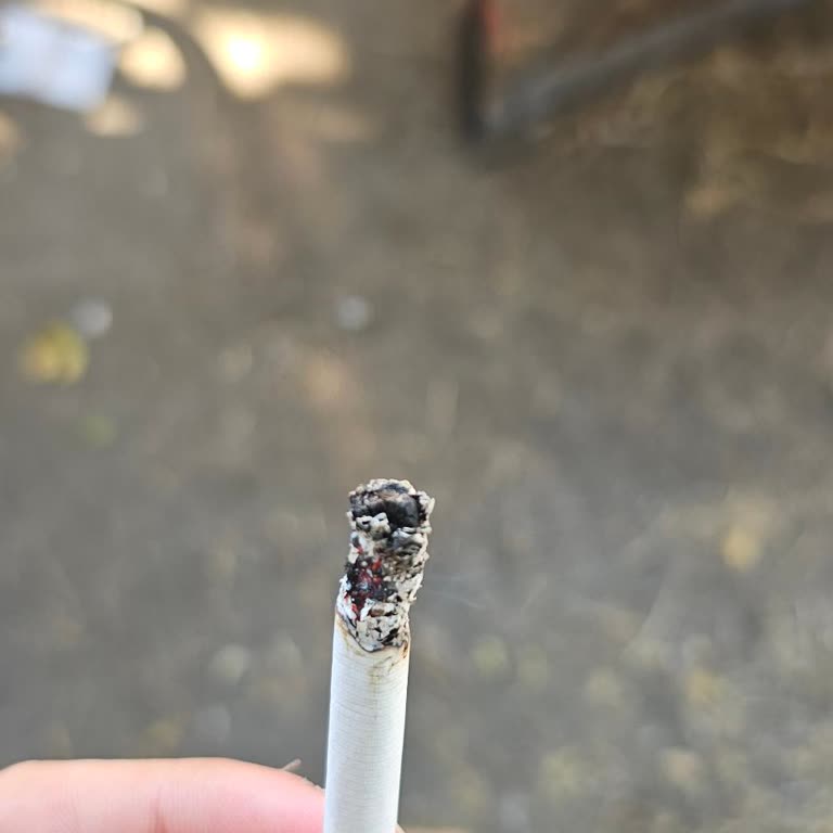 Sigara Paketinden Odun Parçası Çıkması Ve Düzgün Yanmama Sorunu