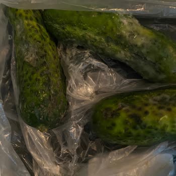 Migros Sanal Marketten Sürekli Çürük Sebze Teslimatı Ve Çözüm Eksikliği