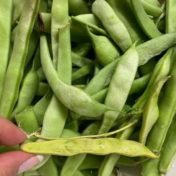 Migros Sanal Marketten Sürekli Çürük Sebze Teslimatı Ve Çözüm Eksikliği