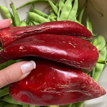 Migros Sanal Marketten Sürekli Çürük Sebze Teslimatı Ve Çözüm Eksikliği