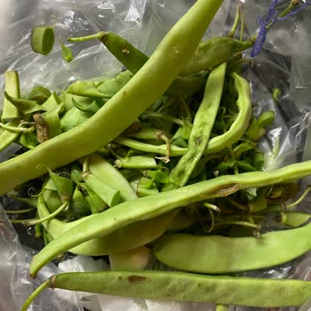 Migros Sanal Marketten Sürekli Çürük Sebze Teslimatı Ve Çözüm Eksikliği