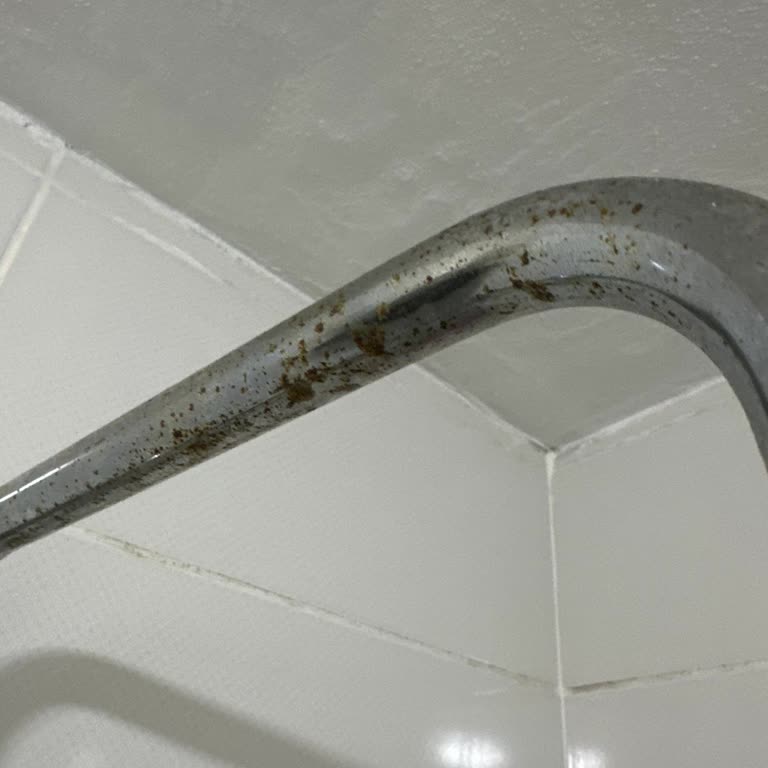 Garanti Kapsamındaki Duş Setim Kısa Sürede Paslandı Değişim Yapılmıyor