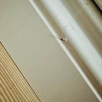 Ayıplı Parke Montajı: Sağlıksız Ve Hatalı Hizmet