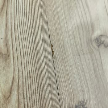 Ayıplı Parke Montajı: Sağlıksız Ve Hatalı Hizmet