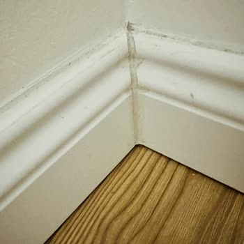 Ayıplı Parke Montajı: Sağlıksız Ve Hatalı Hizmet