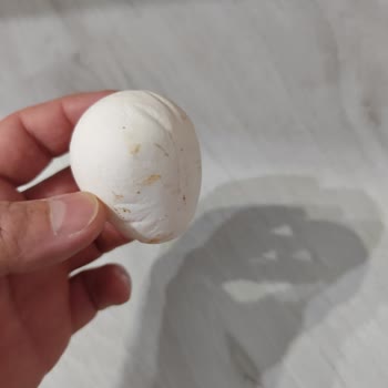 Mutlu Yumurta Satın Aldığım Ürünün Belirtilen Özellikleri Taşımamasından Dolayı Mağdur Oldum