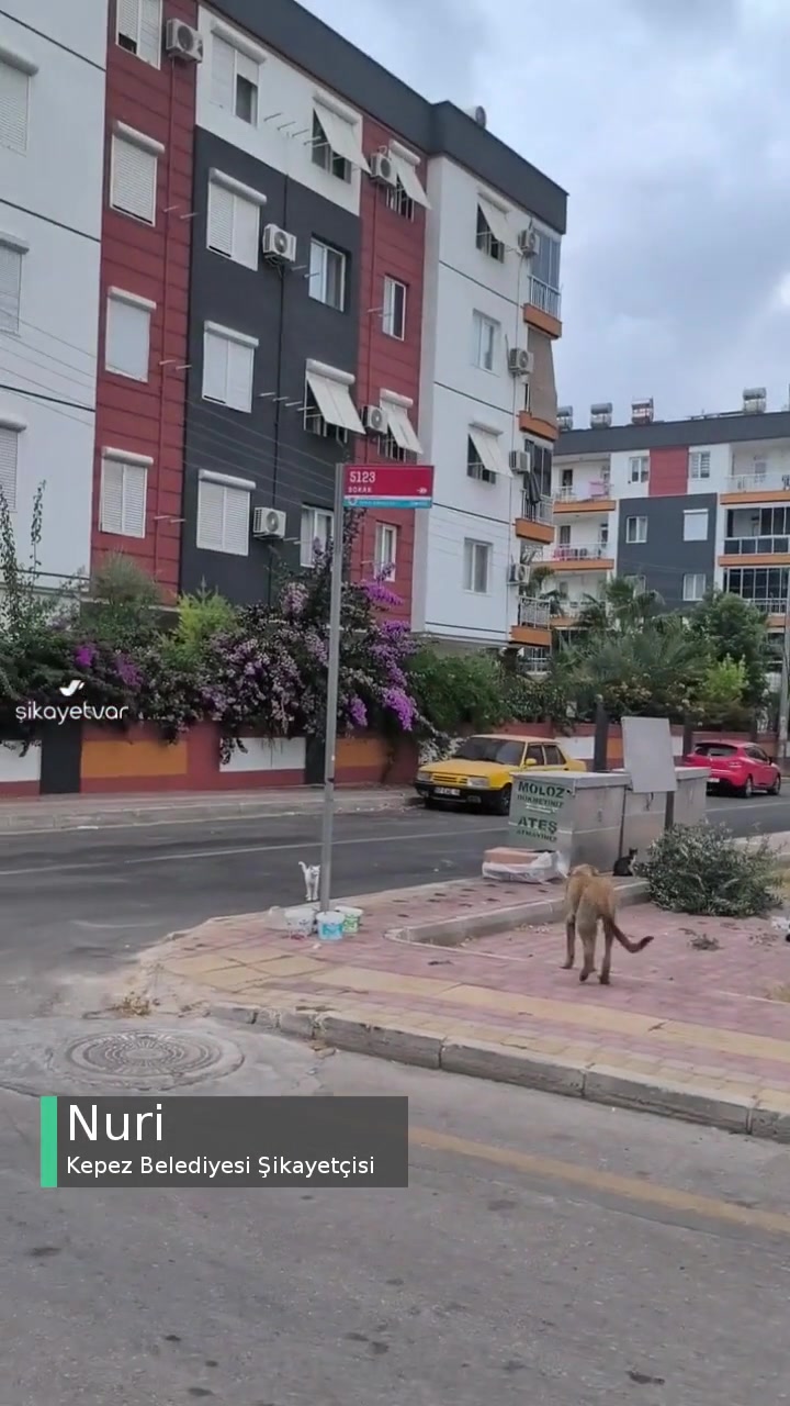 Ünsal Mah 5123 Sokak Muratpaşa Belediye Kepez Belediyesi Neredesin? videonun kapak resmi