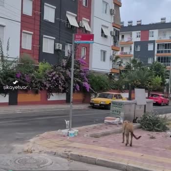 Ünsal Mah 5123 Sokak Muratpaşa Belediye Kepez Belediyesi Neredesin?