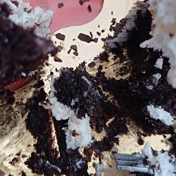 Dondurmadan Çıkan İp Ve İlgisiz Mağaza Çalışanı