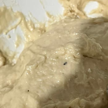 Satın Aldığım Unun İçinden Böcek Çıktı, Acil Çözüm Bekliyorum