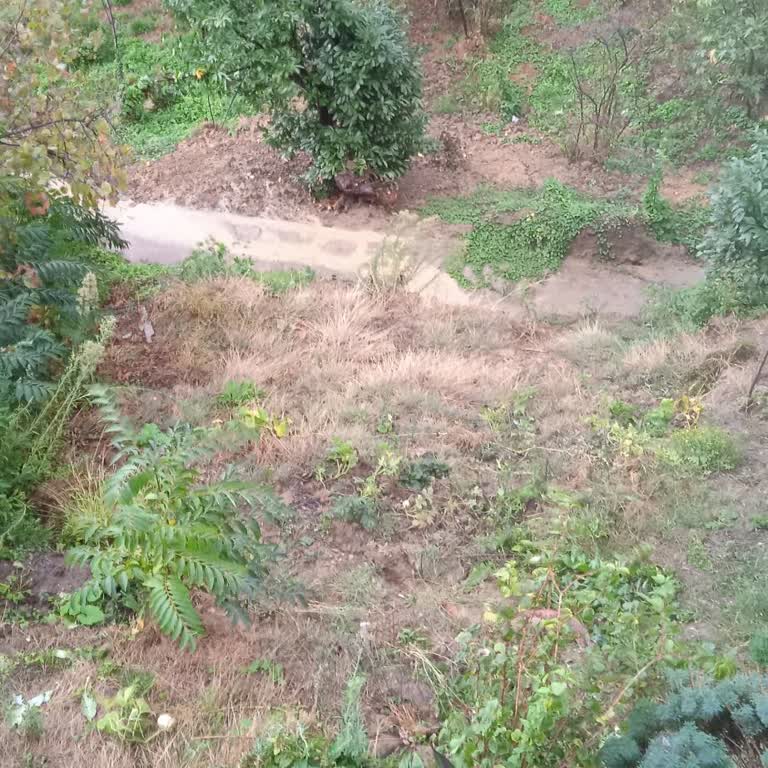 Zonguldak Belediyesi Aylarca Kapatılmayan Çukurlar Evimi ve Güvenliğimizi Tehdit Ediyor