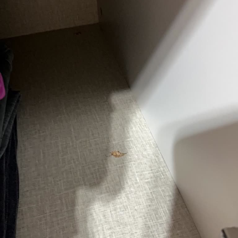 Doğtaş Yatak Odası Dolabında Çatlak Ve Çözüm Eksikliği