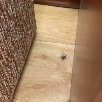 Hedef Beach Resort Ciddi Temizlik Sorunlarıyla Karşılaştık.