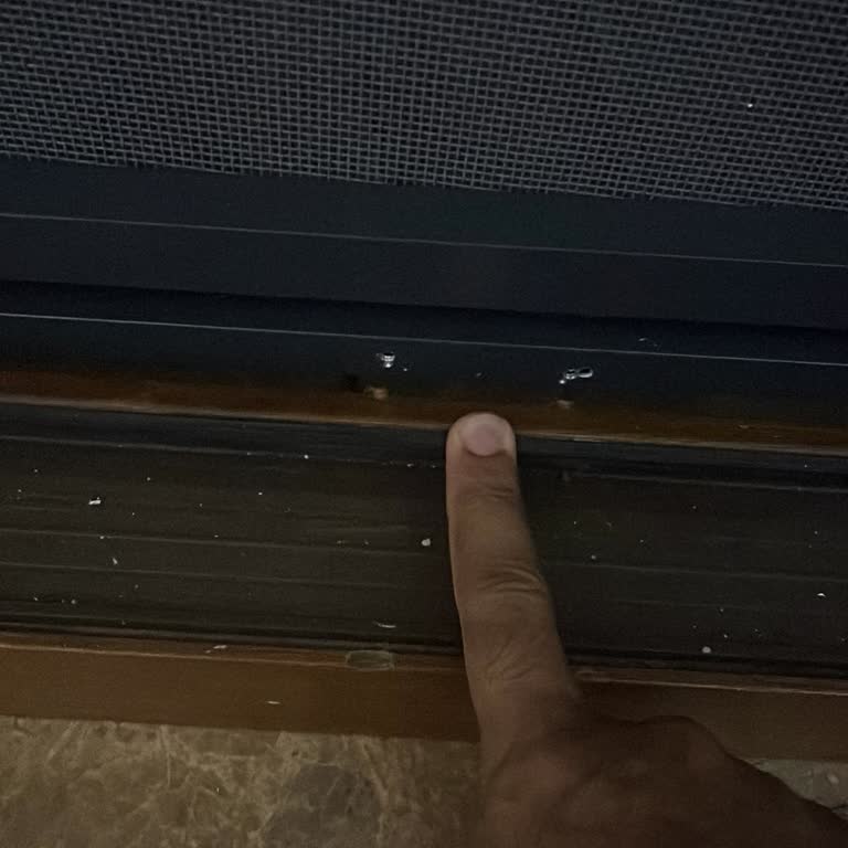 Kedi Sinekliği Siparişimde Gecikme Ve Kalitesiz Ürün Sorunu