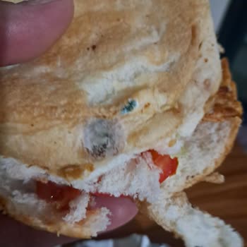 Küflü Ve Bayat Ekmek, İade Sorunu