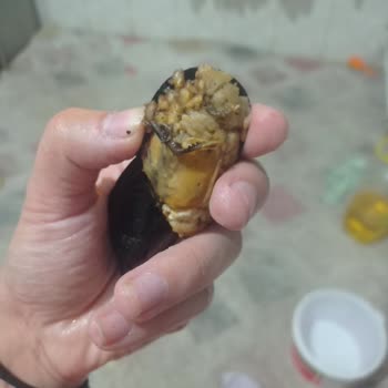 Tarihi Geçmiş Ve Bozuk Midye Satıldı, İçinden Böcek Çıktı Mağdur Oldum