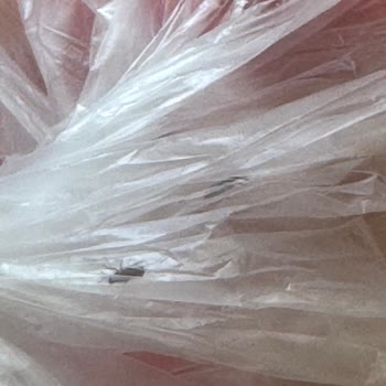 Aldığım Makarnadan Böcek Çıktı Müşteri Hizmetleri İlgisiz Kaldı