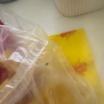 Aldığım Makarnadan Böcek Çıktı Müşteri Hizmetleri İlgisiz Kaldı