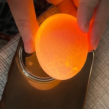 CP Yumurta Paketinde Çatlak Ve Kırık Yumurtalarla Karşılaştım