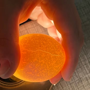 CP Yumurta Paketinde Çatlak Ve Kırık Yumurtalarla Karşılaştım