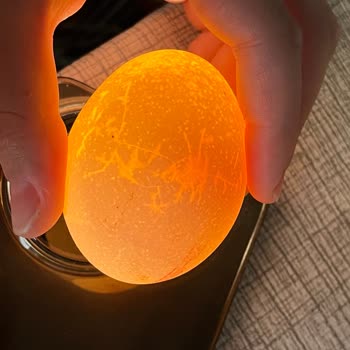 CP Yumurta Paketinde Çatlak Ve Kırık Yumurtalarla Karşılaştım