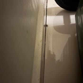 İnnovia 2'de Temizlik Ve Böcek Sorunu Çığ Gibi Büyüyor