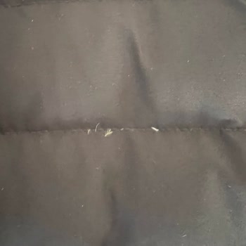 Chaqueta Massimo Dutti con defectos, pelusa excesiva y sin solución