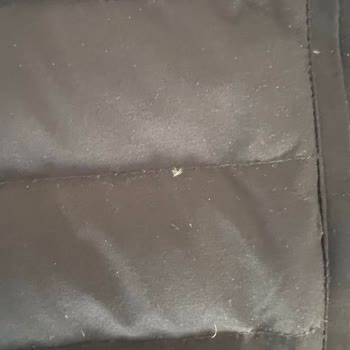 Chaqueta Massimo Dutti con defectos, pelusa excesiva y sin solución