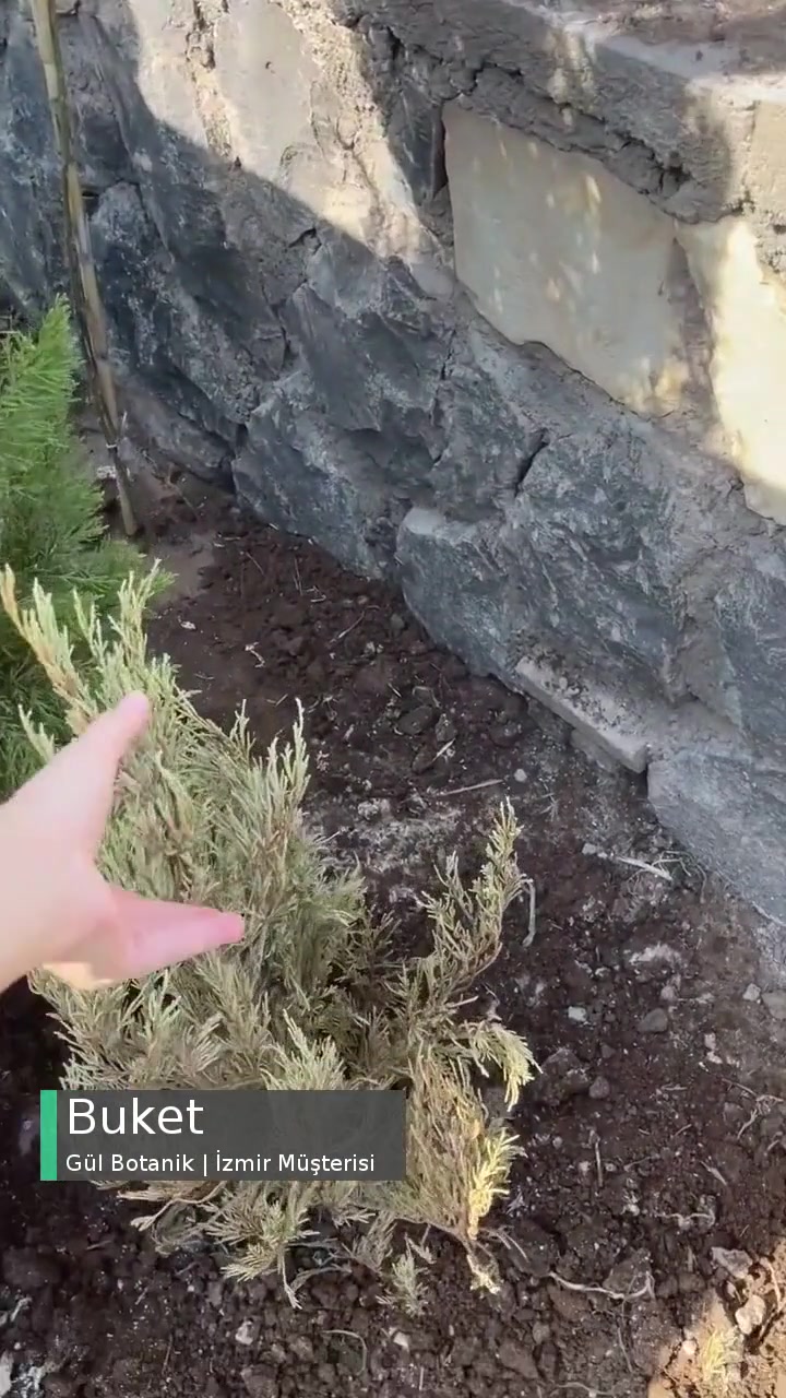 Gül Botanik | İzmir Aldatıcı Ürün Şikayeti videonun kapak resmi