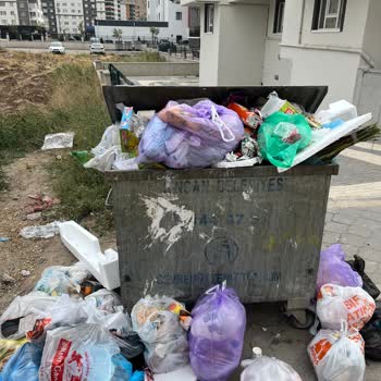 Sokakta Yetersiz Çöp Konteyneri Ve Düzenli Toplanmayan Çöpler Nedeniyle Oluşan Kirlilik