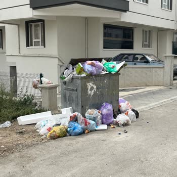 Sokakta Yetersiz Çöp Konteyneri Ve Düzenli Toplanmayan Çöpler Nedeniyle Oluşan Kirlilik