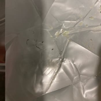 Küflü Tereyağı Teslimatı Ve Müşteri Hizmetlerinden Yetersiz Destek