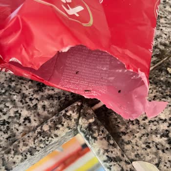 Makarnada Böcek Şoku: Ücret İadesi Ve Açıklama Bekliyorum