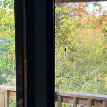 Hijyen Sorunları Ve İlgisiz Yaklaşım Nedeniyle Jolly Tur'dan Mağduriyet Yaşadım