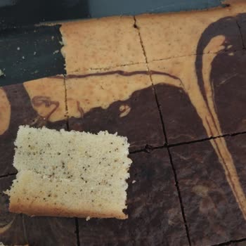 Bosch Ankastre Fırında Sürekli Pişirme Sorunu Ve Çözüm Eksikliği