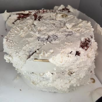 Özel Günümüzde Pasta Mağduriyeti Ve Kaba Personel Yüzünden Hayal Kırıklığı Yaşadık