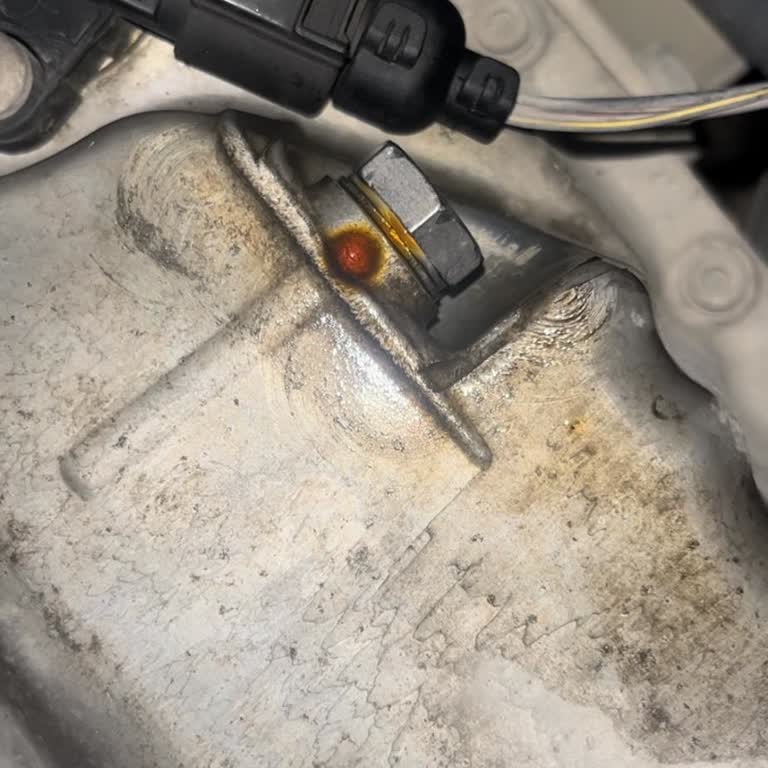 Bakım Sonrası Oluşan Yağ Kaçağı Ve Ücret Talebi Mağduriyeti